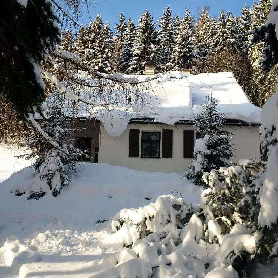 Orli Hnizdo Villa Černý Dŭl Eksteriør billede